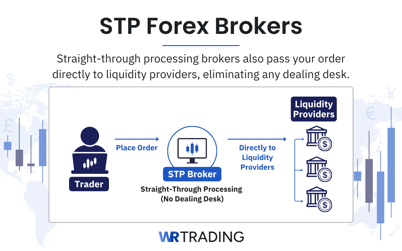STP Forex Brokers definition and explanation