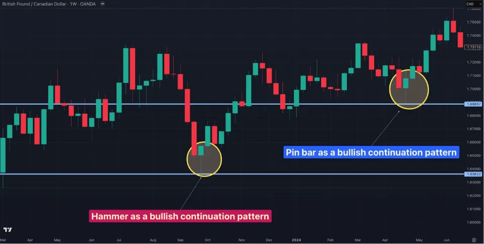 Example of a Long Wicks Pattern with a Hammer and Pin Bar