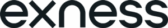 Exness logo