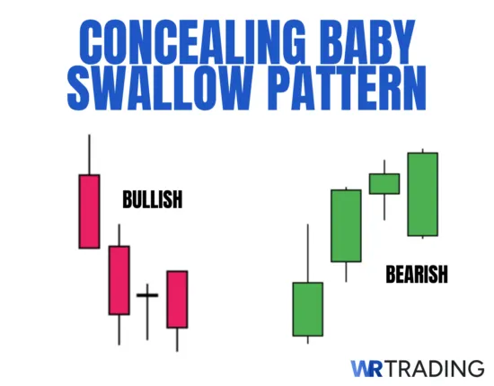 Concealing Baby Swallow Example