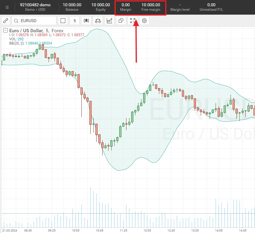 forex margin