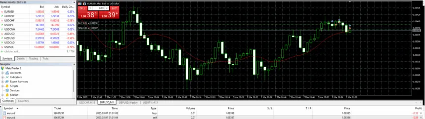 Forex Hedge