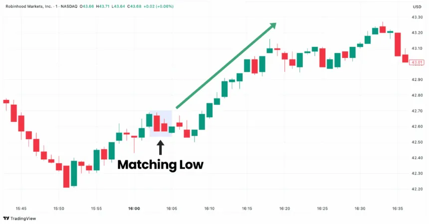 Matching Low pattern in Robinhood Markets chart on TradingView