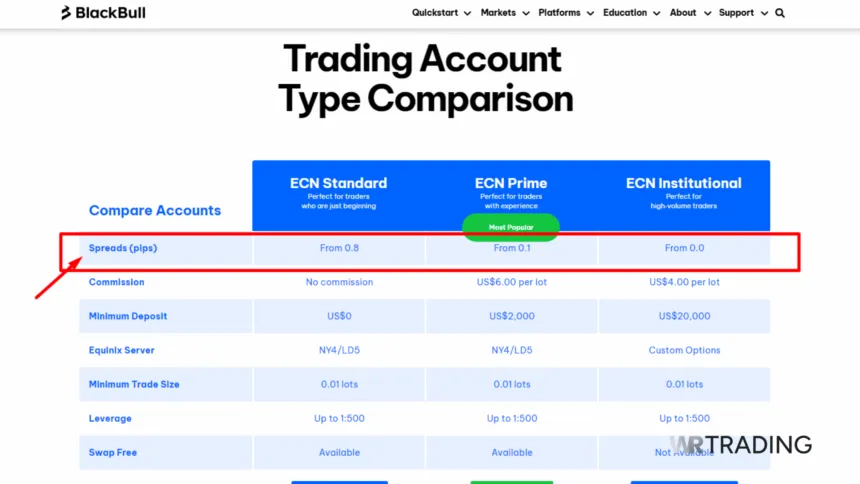 BlackBull Markets Zero Spread Accounts