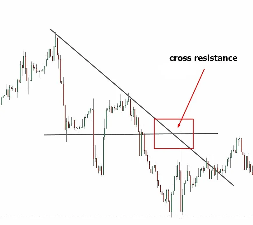 cross resistance in the chart