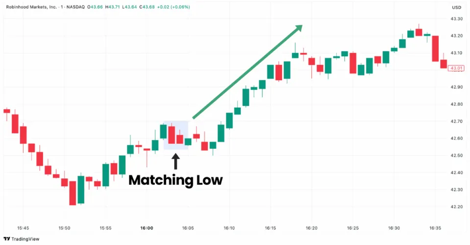 Matching Low pattern in Robinhood Markets chart on TradingView