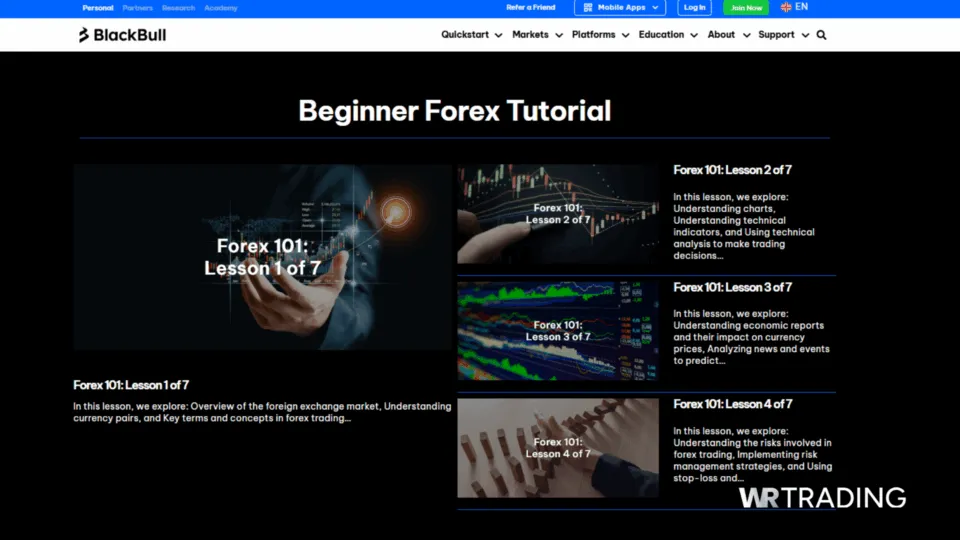 BlackBull Markets Best Forex Broker for Beginners