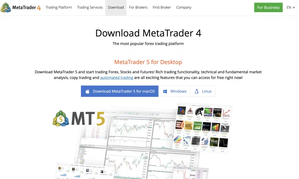 MT4 is one of the most popular trading platforms, even for beginners