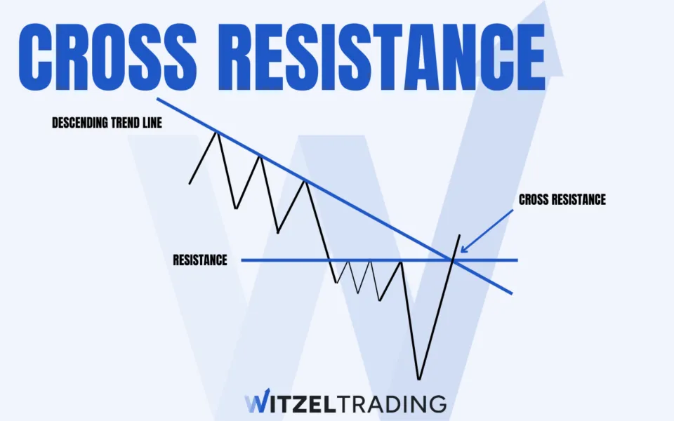 cross resistance