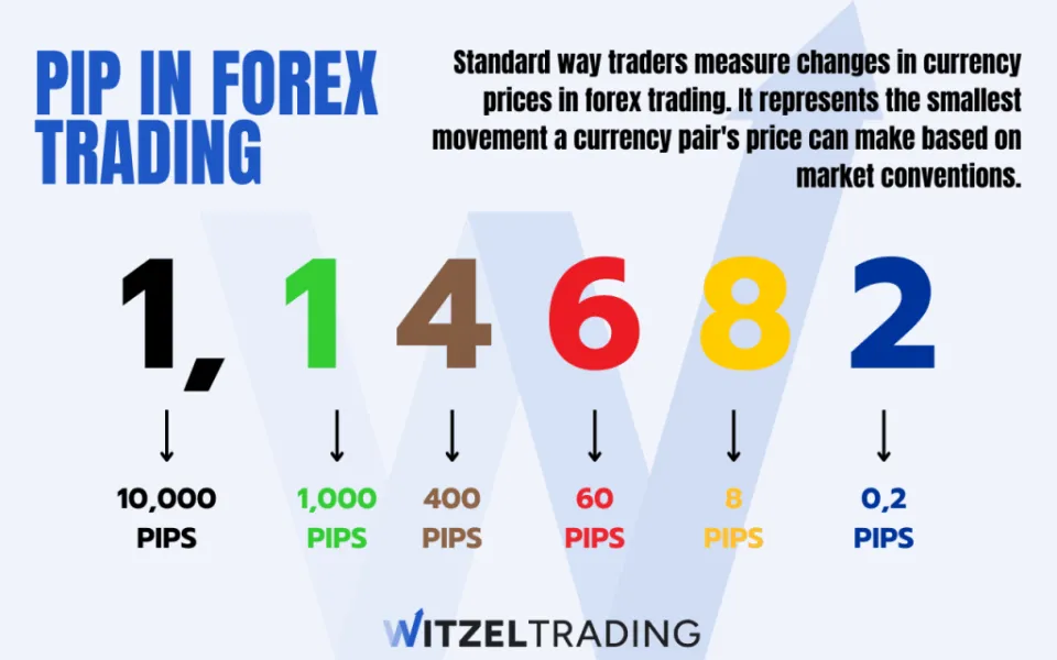 What Does Pip Mean in Forex Trading Definition & Examples