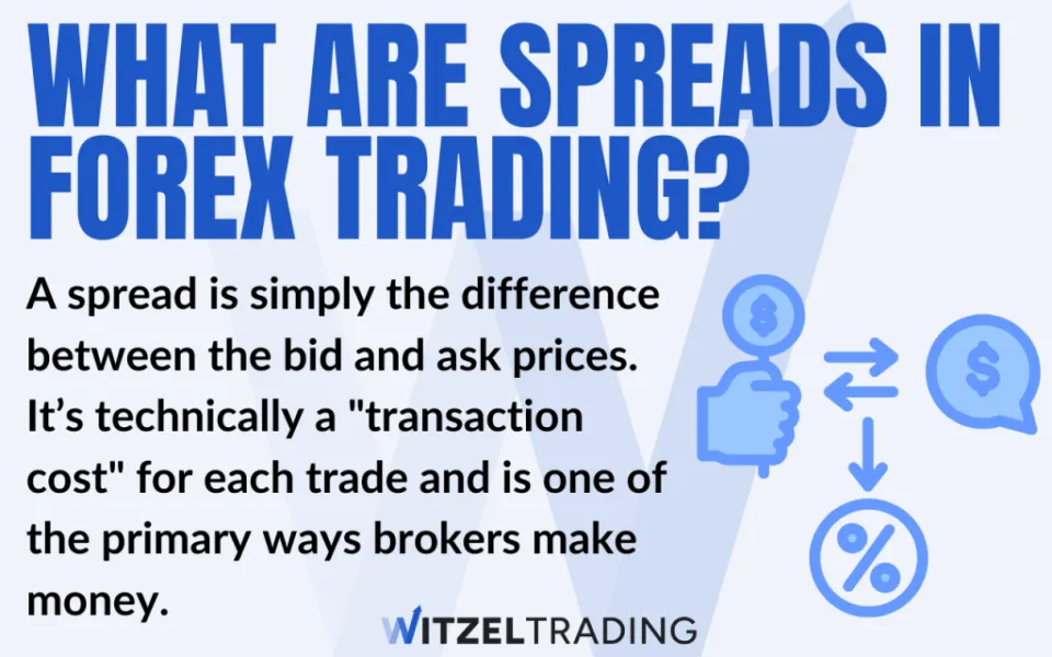 What are Spreads in Forex Trading Definition & Calculation