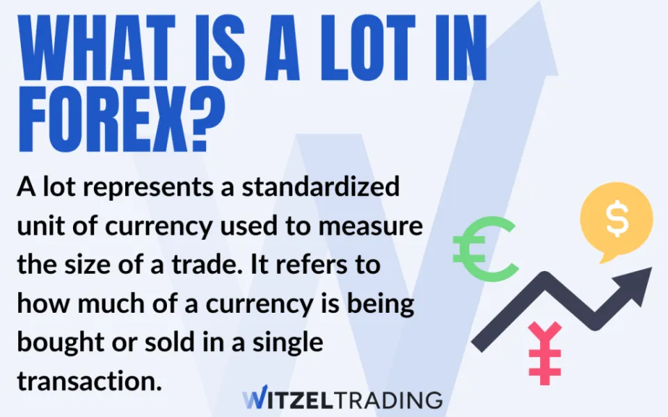What is a Lot in Forex - All Sizes, Examples & Definition