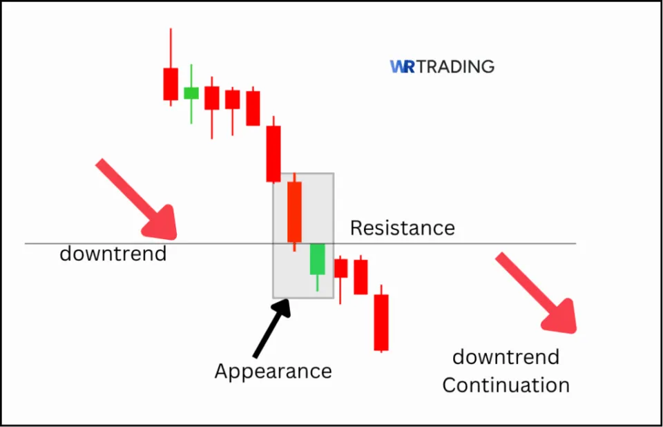 Appearance of a In Neck Candlestick